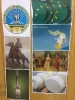 Неделя толерантности_14