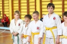 Осенний турнир-открытие соревновательного сезона школы боевых искусств TOITSU RYU_4
